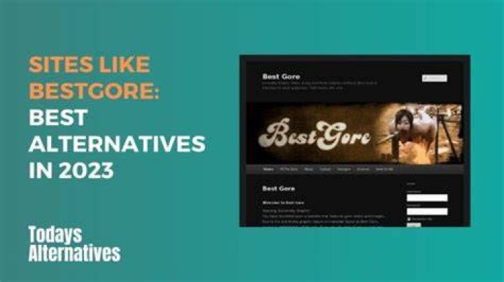 Bestgore Alternative: Exploring the Best Platforms for Extreme Content Enthusiasts