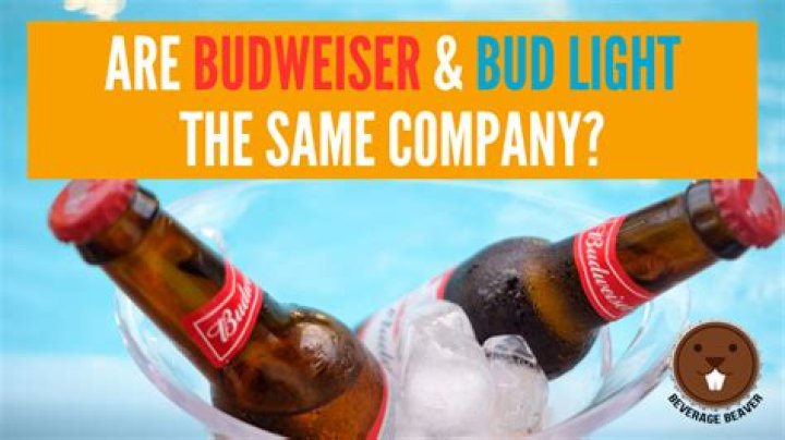 Is Bud Light and Budweiser the Same Company? Exploring the Connection